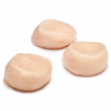 Hokkaido Scallops